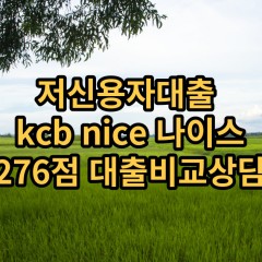 저신용자대출 kcb276점 저신용소액대출 nice276점 저신용비대면대출 나이스276점 신용대출비교상담