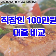 직장인 월변100만원대출 소액100만원대출 개인돈100만원 비대면100만원