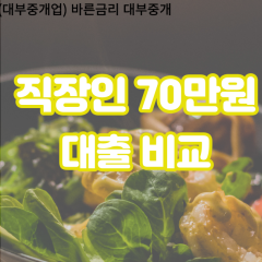 직장인 월변70만원대출 소액70만원대출 개인돈70만원 비대면70만원