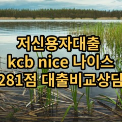 저신용자대출 kcb281점 저신용소액대출 nice281점 저신용비대면대출 나이스281점 신용대출비교상담