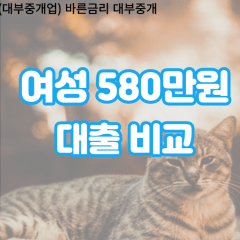 여성 월변580만원대출 소액580만원대출 개인돈580만원 비대면580만원