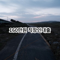 160만원 직장인대출 급전 당일 소액 일수 월변