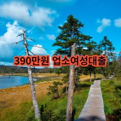 390만원 업소여성대출 급전 당일 소액 일수 월변