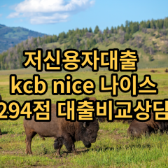 저신용자대출 kcb294점 저신용소액대출 nice294점 저신용비대면대출 나이스294점 신용대출비교상담