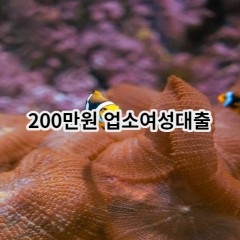 200만원 업소여성대출 급전 당일 소액 일수 월변