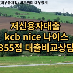 저신용자대출 kcb355점 저신용소액대출 nice355점 저신용비대면대출 나이스355점 신용대출비교상담