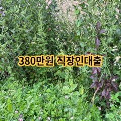 380만원 직장인대출 급전 당일 소액 일수 월변