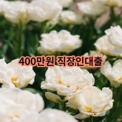 400만원 직장인대출 급전 당일 소액 일수 월변