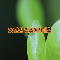 20만원 업소여성대출 급전 당일 소액 일수 월변