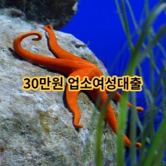 30만원 업소여성대출 급전 당일 소액 일수 월변