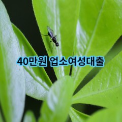 40만원 업소여성대출 급전 당일 소액 일수 월변