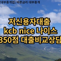 저신용자대출 kcb350점 저신용소액대출 nice350점 저신용비대면대출 나이스350점 신용대출비교상담