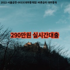 290만원 실시간대출 급전 당일 소액 일수 월변