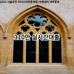 310만원 실시간대출 급전 당일 소액 일수 월변