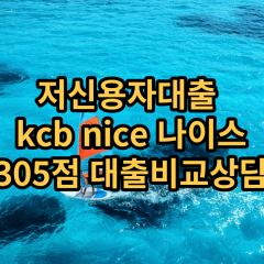 저신용자대출 kcb305점 저신용소액대출 nice305점 저신용비대면대출 나이스305점 신용대출비교상담