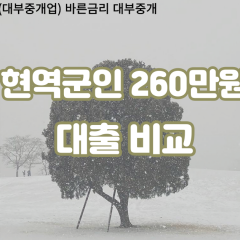 현역군인 비대면260만원대출 개인돈260만원대출 소액260만원 월변260만원