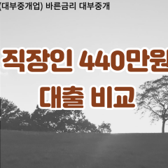 직장인 월변440만원대출 소액440만원대출 개인돈440만원 비대면440만원