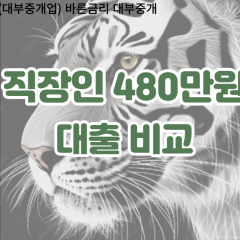 직장인 월변480만원대출 소액480만원대출 개인돈480만원 비대면480만원