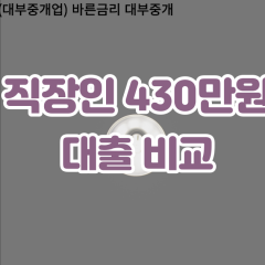 직장인 월변430만원대출 소액430만원대출 개인돈430만원 비대면430만원