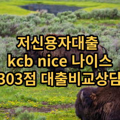 저신용자대출 kcb303점 저신용소액대출 nice303점 저신용비대면대출 나이스303점 신용대출비교상담