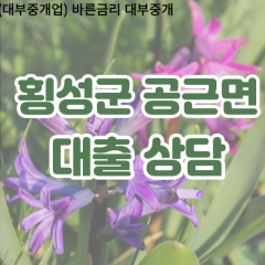 공근면대부업체 공근면비대면대출 횡성면대부업체개인돈 공근면월변대부대출 공근면소액대부업체