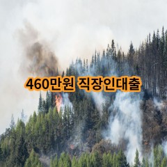 460만원 직장인대출 급전 당일 소액 일수 월변