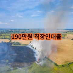 190만원 직장인대출 급전 당일 소액 일수 월변