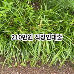 210만원 직장인대출 급전 당일 소액 일수 월변