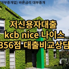 저신용자대출 kcb356점 저신용소액대출 nice356점 저신용비대면대출 나이스356점 신용대출비교상담