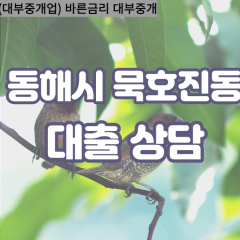 묵호진동대부업체 묵호진동비대면대출 동해시대부업체개인돈 묵호진동월변대부대출 묵호진동소액대부업체