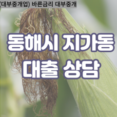 지가동대부업체 지가동비대면대출 동해시대부업체개인돈 지가동월변대부대출 지가동소액대부업체