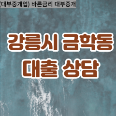 금학동대부업체 금학동비대면대출 강릉시대부업체개인돈 금학동월변대부대출 금학동소액대부업체