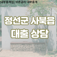 사북읍대부업체 사북읍비대면대출 정선군대부업체개인돈 사북읍월변대부대출 사북읍소액대부업체