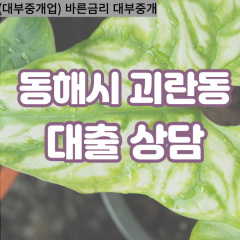 괴란동대부업체 괴란동비대면대출 동해시대부업체개인돈 괴란동월변대부대출 괴란동소액대부업체