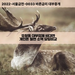 효창동대부대출 효창동비대면대출 용산구대부업체개인돈 효창동월변대부업체 효창동소액월변대출