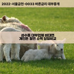 성수동대부대출 성수동1가비대면대출 성동구대부업체개인돈 성수동2가월변대부업체 성수동소액월변대출