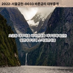 오금동대부대출 오금동비대면대출 고양시덕양구대부업체개인돈 오금동월변대부업체 오금동소액월변대출