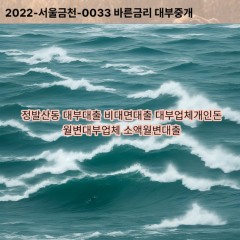 정발산동대부대출 정발산동비대면대출 고양시일산동구대부업체개인돈 정발산동월변대부업체 정발산동소액월변대출