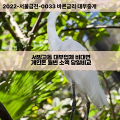 서빙고동대부대출 서빙고동비대면대출 용산구대부업체개인돈 서빙고동월변대부업체 서빙고동소액월변대출