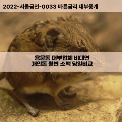 용문동대부대출 용문동비대면대출 용산구대부업체개인돈 용문동월변대부업체 용문동소액월변대출