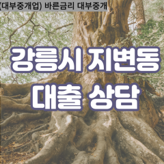 지변동대부업체 지변동비대면대출 강릉시대부업체개인돈 지변동월변대부대출 지변동소액대부업체