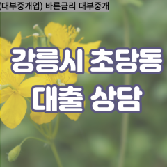 초당동대부업체 초당동비대면대출 강릉시대부업체개인돈 초당동월변대부대출 초당동소액대부업체