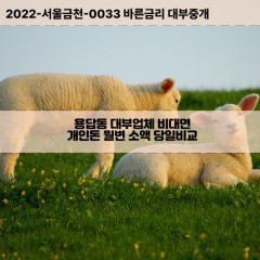 용답동대부대출 용답동비대면대출 성동구대부업체개인돈 용답동월변대부업체 용답동소액월변대출