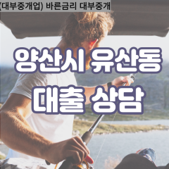 유산동대부업체 유산동비대면대출 양산시대부업체개인돈 유산동월변대부대출 유산동소액대부업체