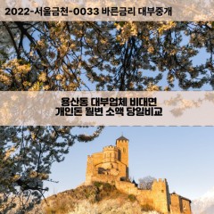 용산동대부대출 용산동비대면대출 대구달서구대부업체개인돈 용산동월변대부업체 용산동소액월변대출