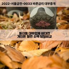 동산동대부대출 동산동비대면대출 광주광산구대부업체개인돈 동산동월변대부업체 동산동소액월변대출