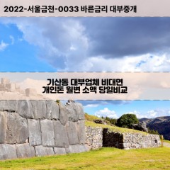 기산동대부대출 기산동비대면대출 충남아산시대부업체개인돈 기산동월변대부업체 기산동소액월변대출