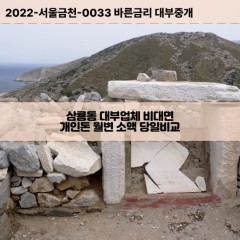 삼룡동대부대출 삼룡동비대면대출 천안시동남구대부업체개인돈 삼룡동월변대부업체 삼룡동소액월변대출