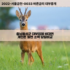 금마면대부대출 서부면비대면대출 충남홍성군대부업체개인돈 은하면변대부업체 장곡면소액월변대출