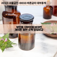 부민동대부대출 부민동1가비대면대출 부산서구대부업체개인돈 부민동2가월변대부업체 부민동3가소액월변대출